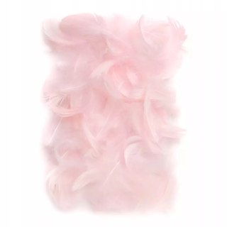 Piórka różowe 5-12cm 10g