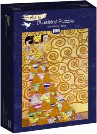 Puzzle 1000 elementów. Oczekiwanie, Gustav Klimt