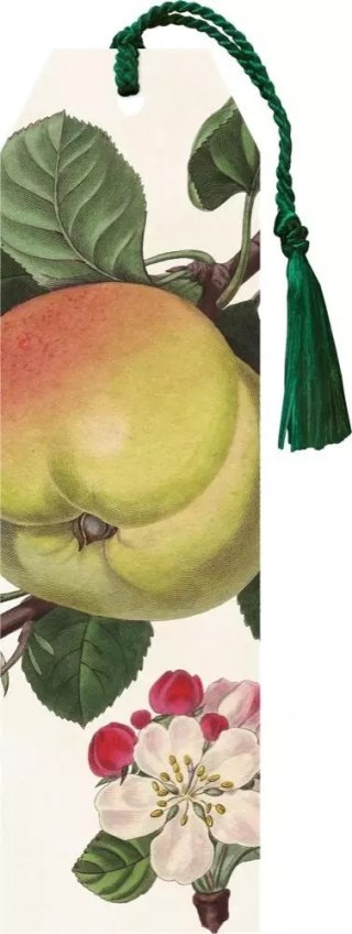 Zakładka z chwostem, jabłoń