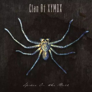 Spider On The Wall, CD