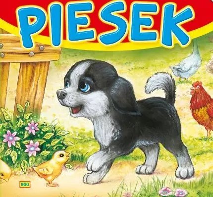 Sztywne strony kwadrat. Piesek 800