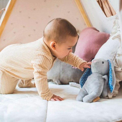 Szumiący śpioszek, Felek Szumiący śpioszek, Felek