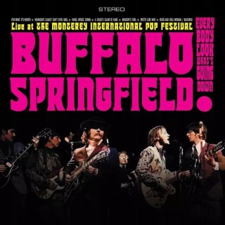 Live At The Monterey International Pop Festival LP, Winyl