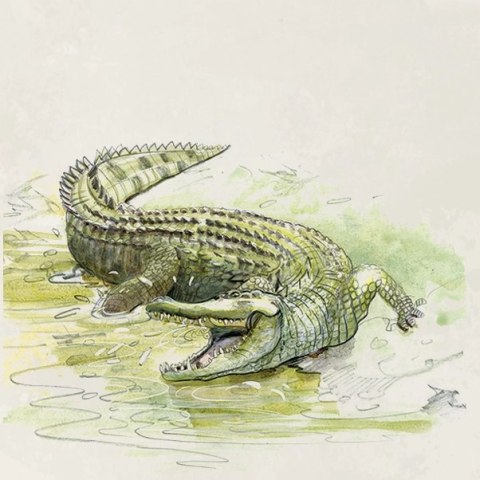 Śladami Darwina
