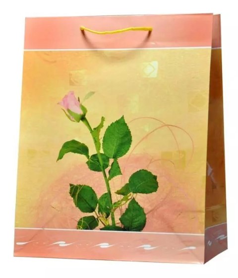 Torebka papierowa L 26x32cm p12 ADAR /cena za 1szt. Torebka papierowa L 26x32cm p12 ADAR /cena za 1szt.