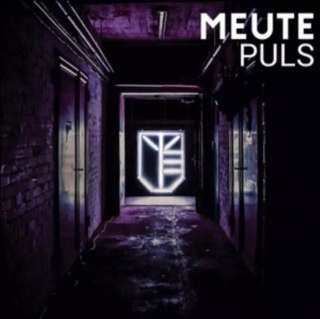 Puls LP, Winyl