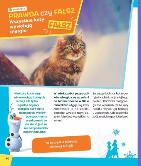 Kraina Lodu. Olaf odkrywa: prawda - fałsz? Kraina Lodu. Olaf odkrywa: prawda - fałsz?