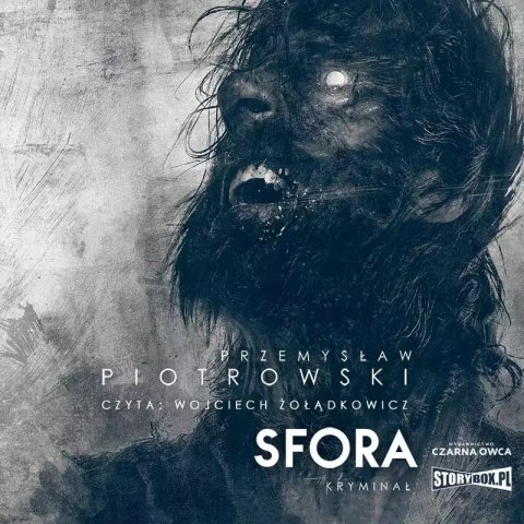 Sfora. Audiobook Sfora. Audiobook