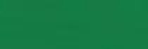 Brystol kolorowy Happy Color 170g A4 25 arkuszy ciemnozielony Brystol kolorowy Happy Color 170g A4 25 arkuszy ciemnozielony