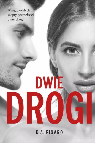 Rozchwiani. Tom 4. Dwie drogi