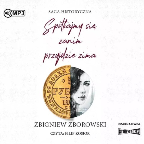 Spotkajmy się, zanim przyjdzie zima. Audiobook Spotkajmy się, zanim przyjdzie zima. Audiobook