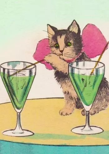 Karnet B6 z kopertą Kot i drinki Karnet B6 z kopertą Kot i drinki