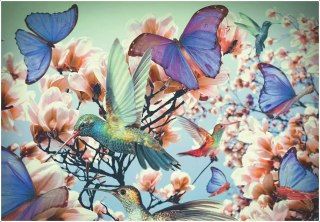 Puzzle 300 elementów. Moment. Koliber i motyle