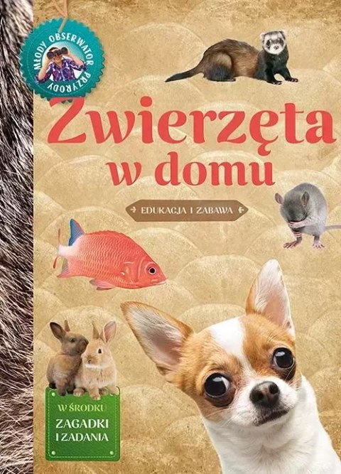 Młody Obserwator Przyrody - Zwierzęta w domu Młody Obserwator Przyrody - Zwierzęta w domu
