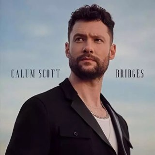 Bridges, CD