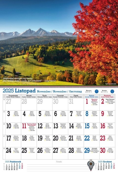 Kalendarz 2025 ścienny planszowy 32x47cm TATRY