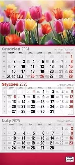 Kalendarz trójdzielny z efektem 3D Avanti KTT 2025 Kalendarz trójdzielny z efektem 3D Avanti KTT 2025