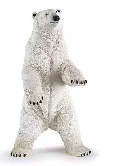 Niedźwiedź polarny stojący Niedźwiedź polarny stojący