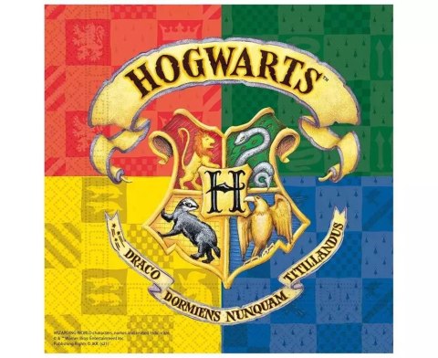 Serwetki papiertowe Harry Potter 33x33cm 20szt Serwetki papiertowe Harry Potter 33x33cm 20szt