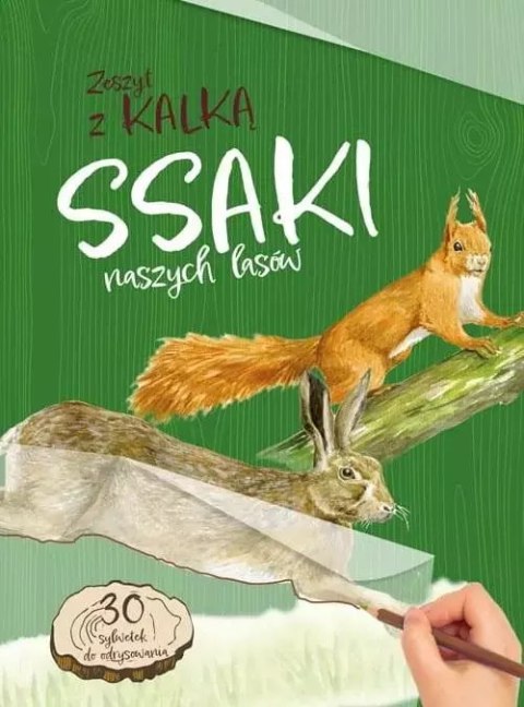 Ssaki naszych lasów. Zeszyt z kalką Ssaki naszych lasów. Zeszyt z kalką