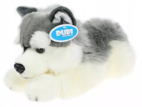 Maskotka Piesek Husky Leżący DUBI - 42cm Maskotka Piesek Husky Leżący DUBI - 42cm