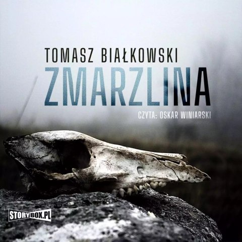 CD Mp3 Zmarzlina CD Mp3 Zmarzlina