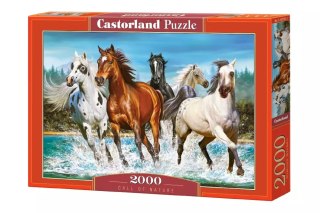 Puzzle 2000 elementów. Call of nature