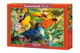 Puzzle 3000 elementów. Interlude
