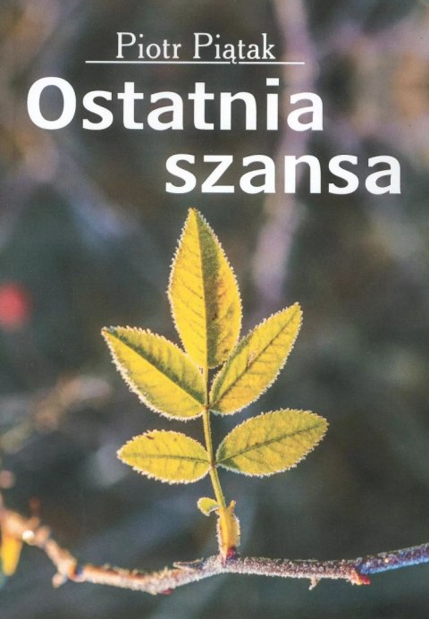 Ostatnia szansa Ostatnia szansa