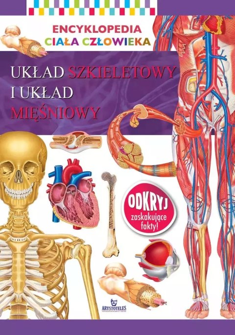 Encyklopedia ciała człowieka. Układ szkieletowy i układ mięśniowy