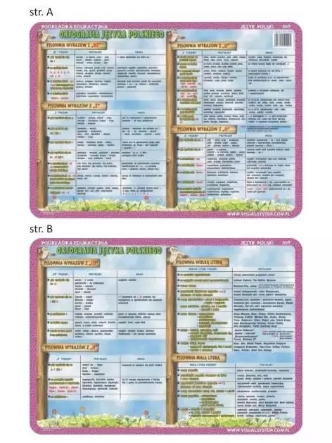 Podkładka edu. 009 - Ortografia: ch, h, rz, ż, ó.. Podkładka edu. 009 - Ortografia: ch, h, rz, ż, ó..