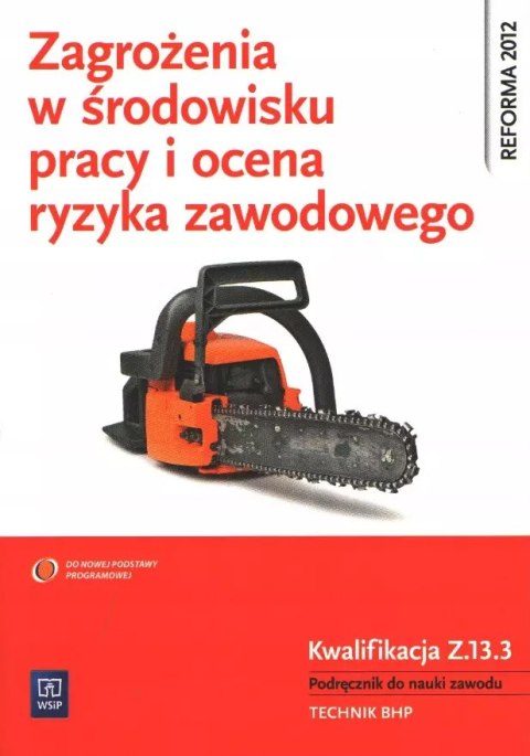 Zagrożenia w środowisku pracy i ocena ryzyka zawodowego. Kwalifikacja Z.13.3. Podręcznik do nauki zawodu. Technik BHP Zagrożenia w środowisku pracy i ocena ryzyka zawodowego. Kwalifikacja Z.13.3. Podręcznik do nauki zawodu. Technik BHP