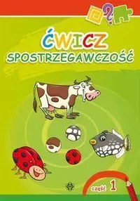 Ćwicz spostrzegawczość 1