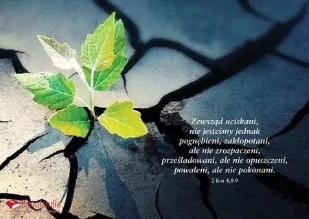 Karnet z wersetem. Zewsząd uciskani, nie jesteśmy jednak pognębieni... Karnet z wersetem. Zewsząd uciskani, nie jesteśmy jednak pognębieni...