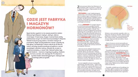 Jego wysokość mózg Jego wysokość mózg