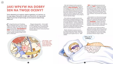 Jego wysokość mózg Jego wysokość mózg