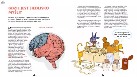 Jego wysokość mózg Jego wysokość mózg
