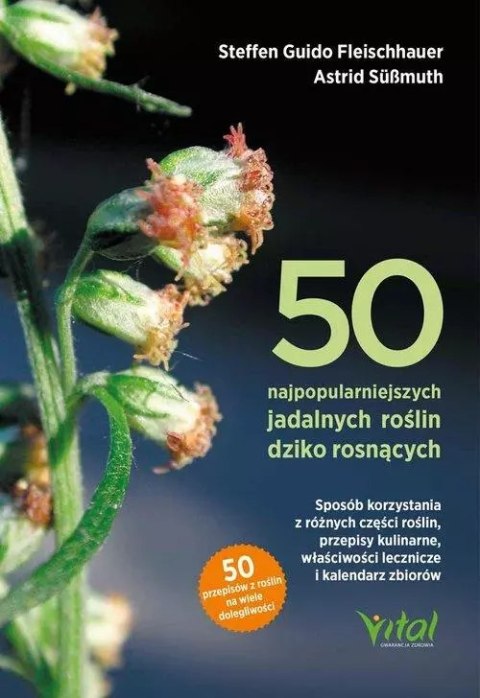 50 najpopularniejszych roślin dziko rosnących 50 najpopularniejszych roślin dziko rosnących