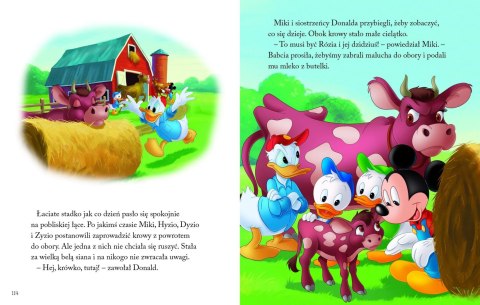 Disney. Ulubione historie. Na wsi