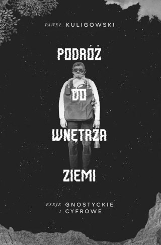 Podróż do wnętrza Ziemi. Eseje gnostyckie i cyfrowe