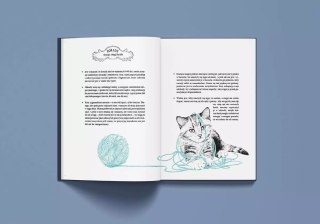 Historia pewnego kota