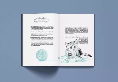 Historia pewnego kota Historia pewnego kota
