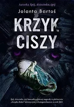 Krzyk ciszy