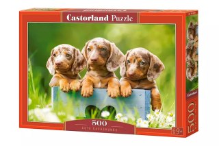 Puzzle 500 elementów. Cute Dachshunds