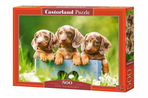 Puzzle 500 elementów. Cute Dachshunds Puzzle 500 elementów. Cute Dachshunds