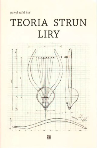 Teoria strun liry