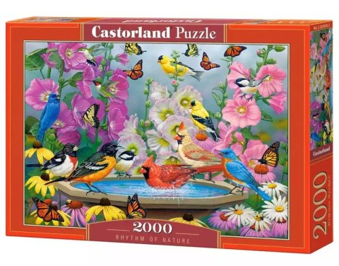 Puzzle 2000 elementów Ptaki Rytm natury Puzzle 2000 elementów Ptaki Rytm natury