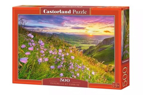 Puzzle 500 elementów. Harebells at Sunrise