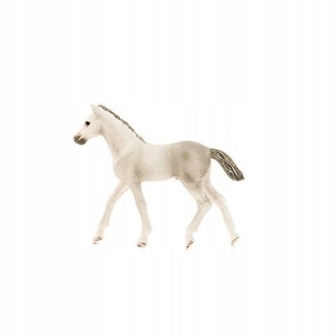 Schleich 13860 HORSE CLUB Holsteiner foal Figurine for ages 5+ Schleich 13860 HORSE CLUB Holsteiner foal Figurine for ages 5+