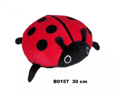 Pluszak Biedronka 30cm Sa Fol Pluszak Biedronka 30cm Sa Fol